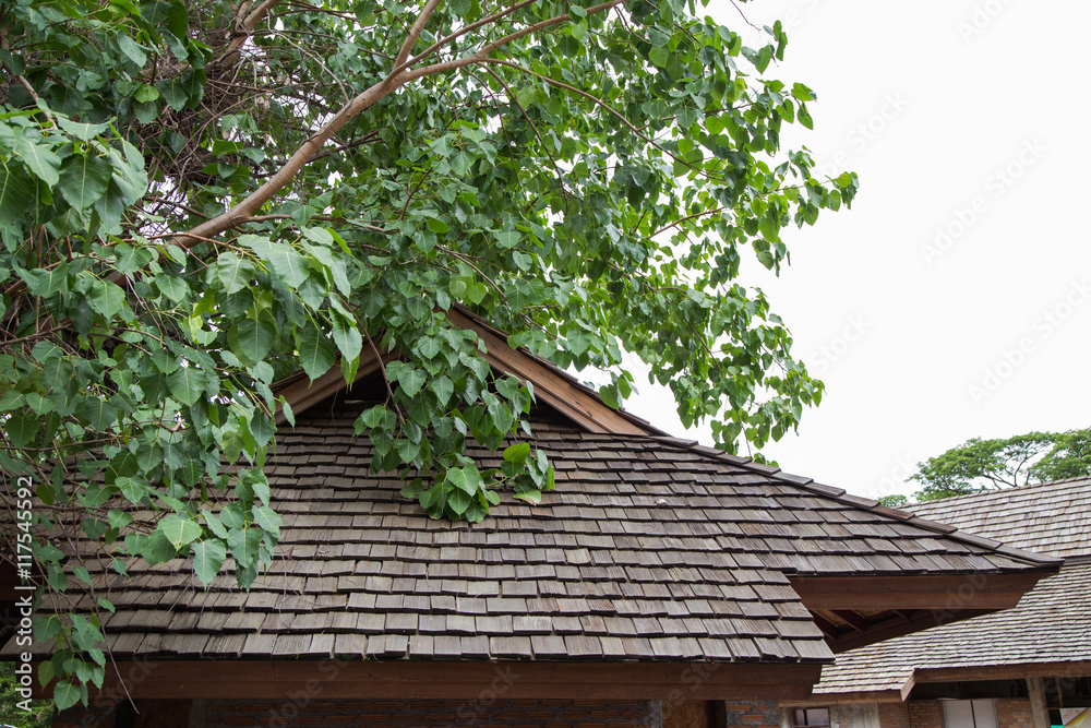 Old wooden roof texture