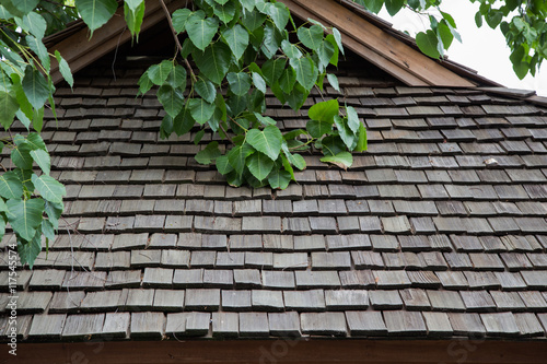 Old wooden roof texture

