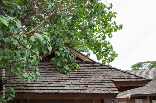 Obraz na płótnie Old wooden roof texture
w salonie