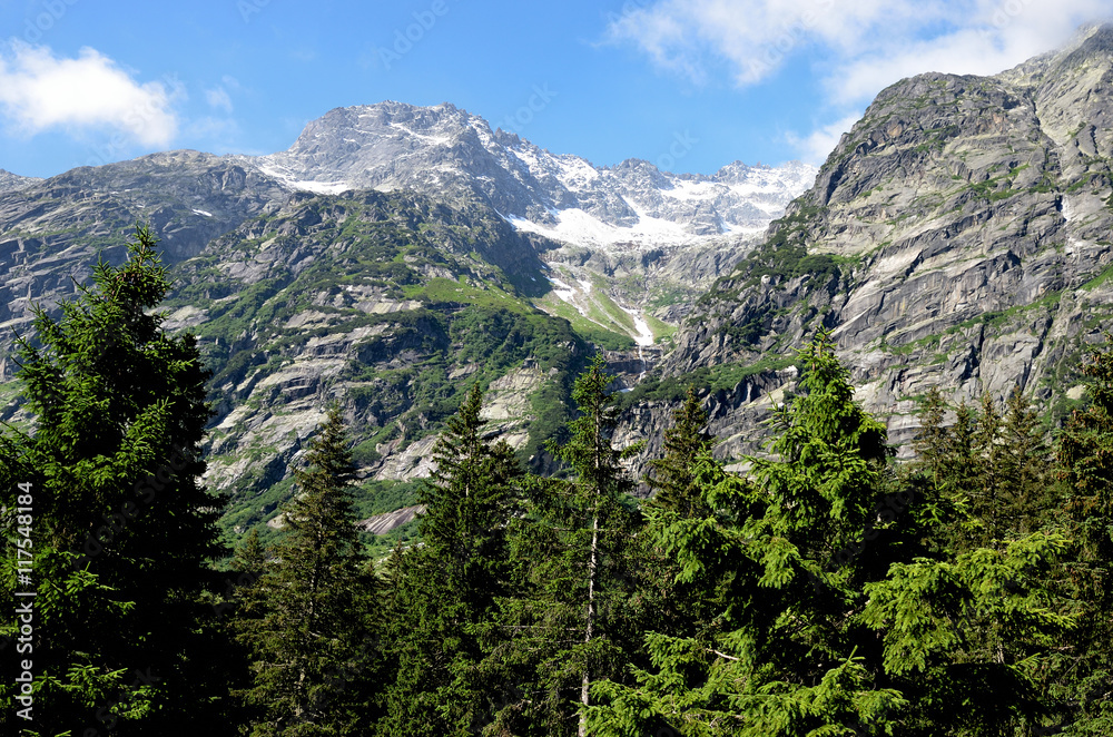 Fototapeta premium Gipfel im Nebel