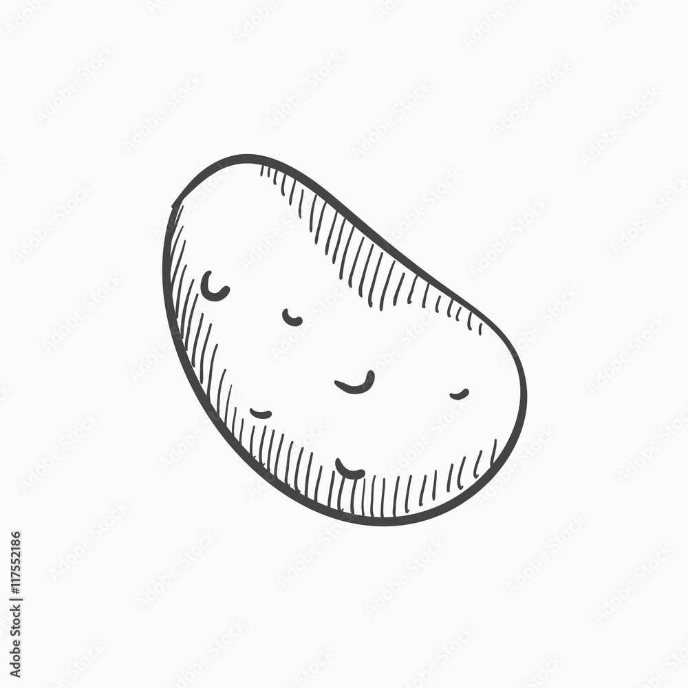 Potato sketch icon. Potato sketch icon.