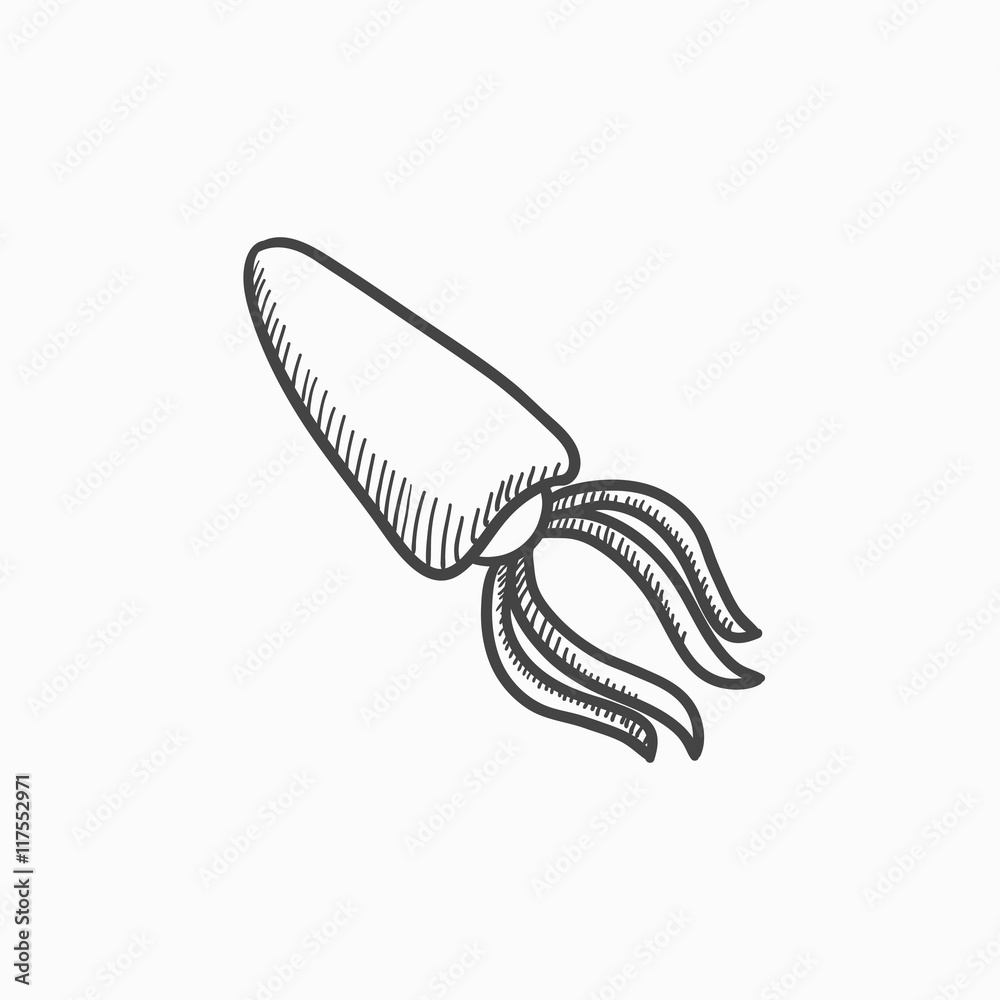 Squid sketch icon. Squid sketch icon.