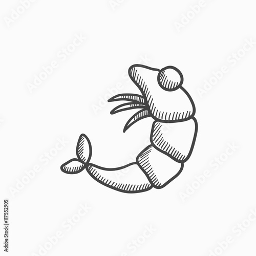 Shrimp sketch icon.