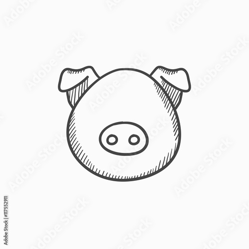Pig head sketch icon.