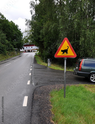 Road sign Attention, beware cat near crossroad © lizmyosotis