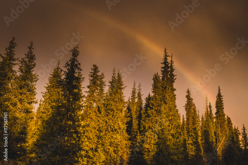 Rainbow © petroffcocktail