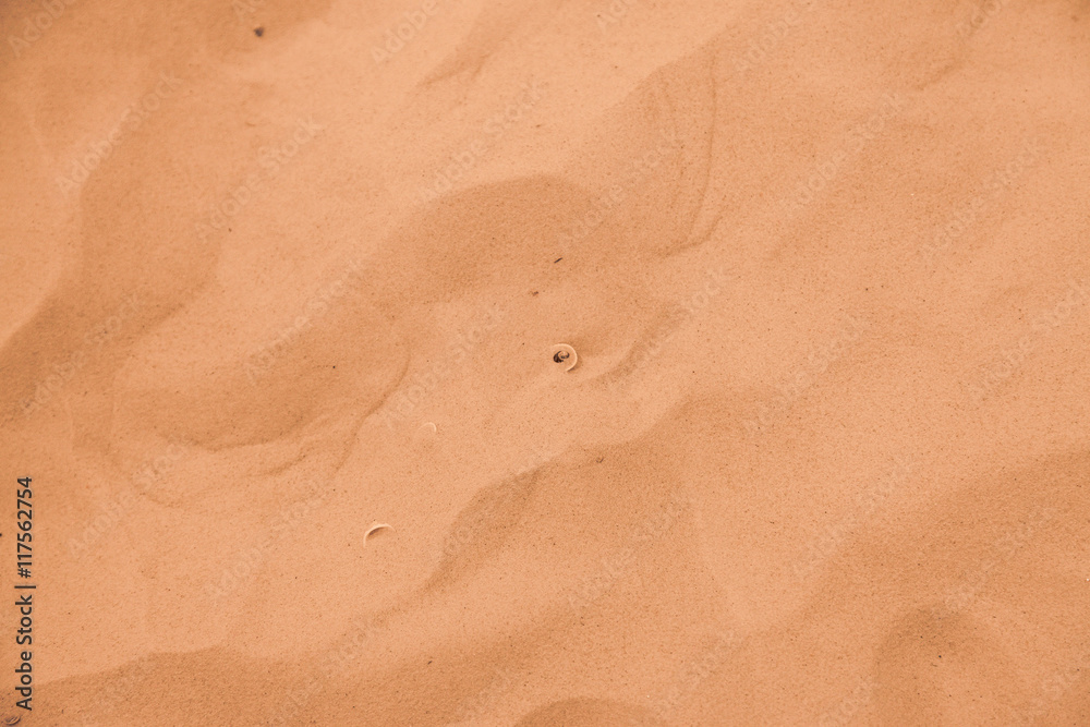 Sand texture background and wallpaper Sand texture background and wallpaper