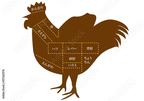 鶏肉　内臓部位の名称