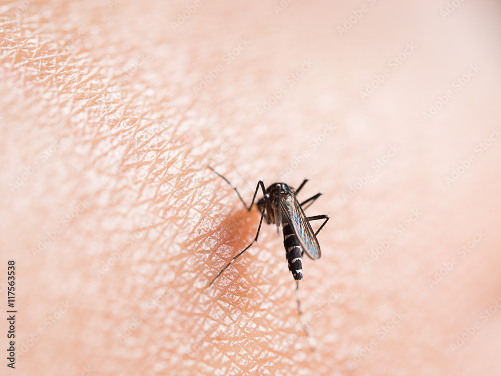 Mosquito bite on human skin (selective focus)