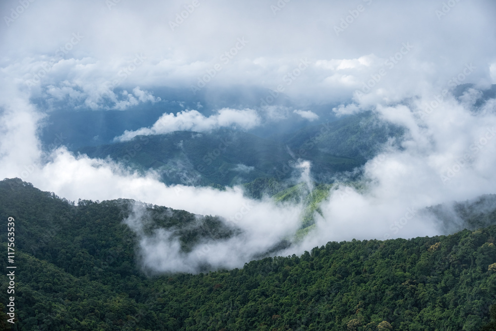 Beautiful top view of mountain forest landscape with misty morni