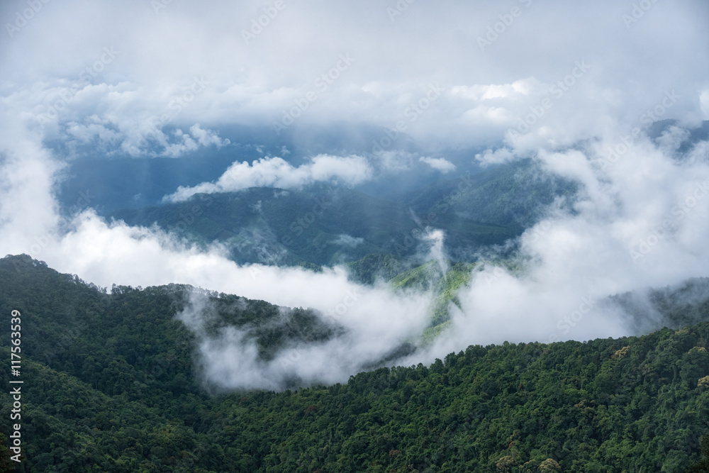 Beautiful top view of mountain forest landscape with misty morni Beautiful top view of mountain forest landscape with misty morni