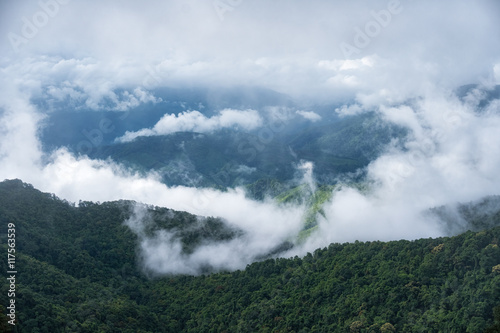 Beautiful top view of mountain forest landscape with misty morni