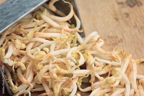 bean sprouts