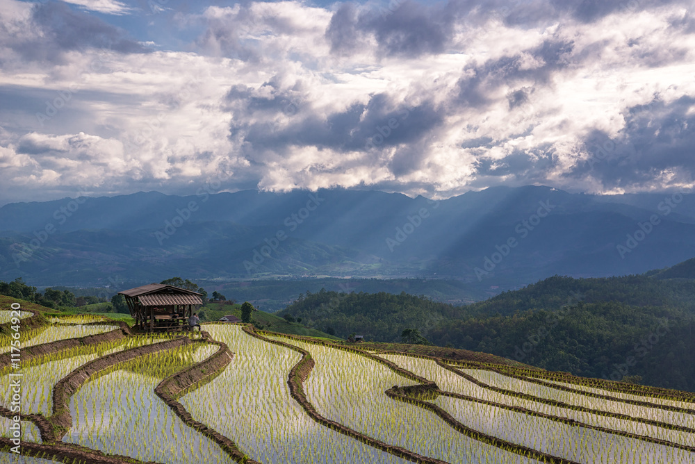 Amazing Beautiful of Rice fields on terraced with sky colorful r