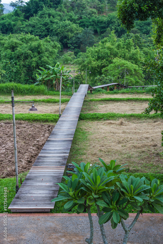 wood bridge on the rice field