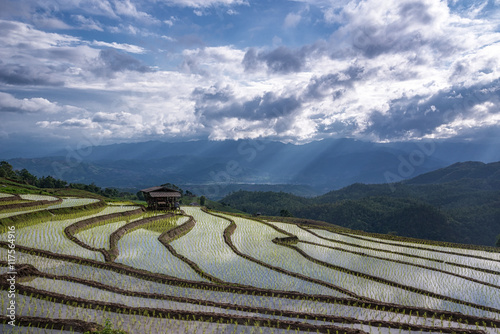 Amazing Beautiful of Rice fields on terraced with sky colorful r © ordinary042