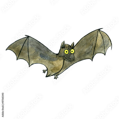 watercolor drawing bat