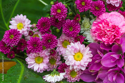 all flowers on wood background