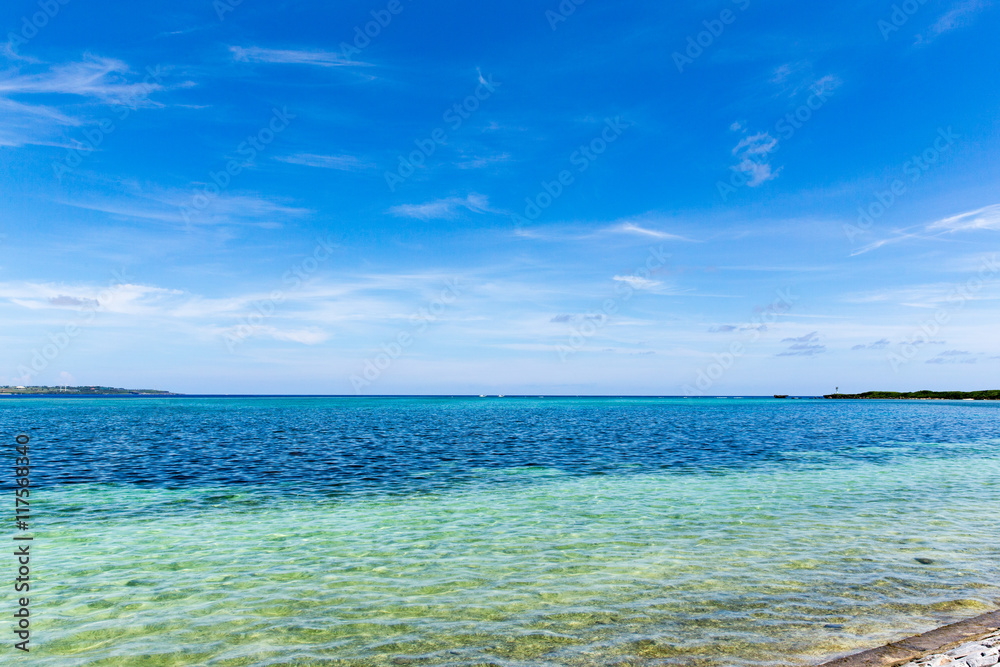 The beach where tropical fish are collected