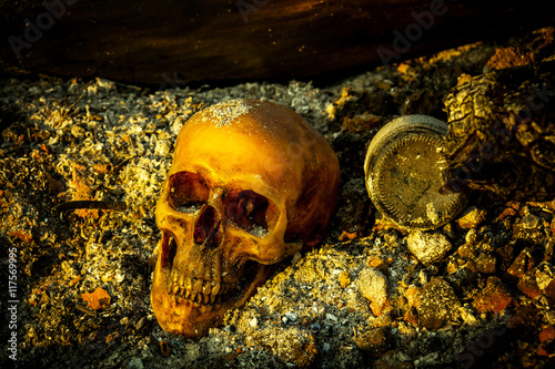 Obraz na plátně Still life with human skull on ashes and burned log in the forest