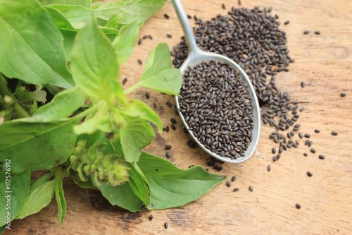 basil seed with fresh