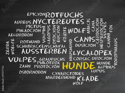 Hunde