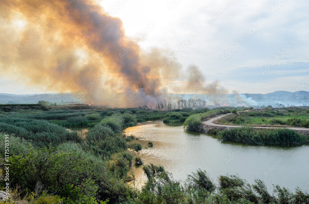 Fire caused by the destruction  humans.