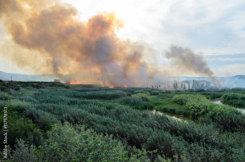 Fire caused by the destruction  humans.