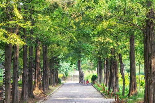 Canvas Print incheon grand park