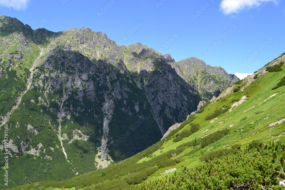 Naklejka premium Góry Tatry