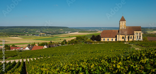 Champagne vineyards Cuis in Marne department, France
