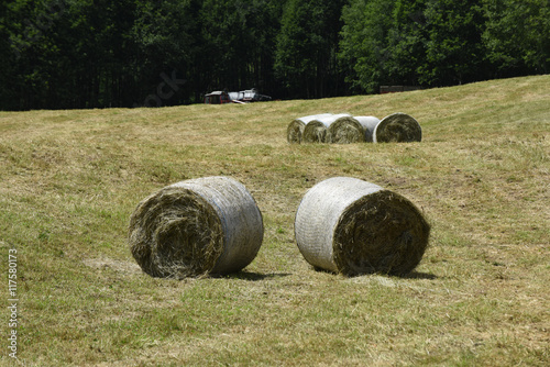 fieno balle di fieno fienagione tagliare fieno allevamento stalla stalle fieni agricoltura 