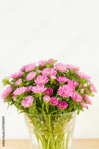 Wallpaper Mural China Aster Torontodigital.ca