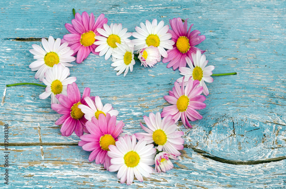Wunschmotiv: Romantik, Liebe, Sehnsucht: Herz aus Margeriten auf blauem Holz :) #117581338