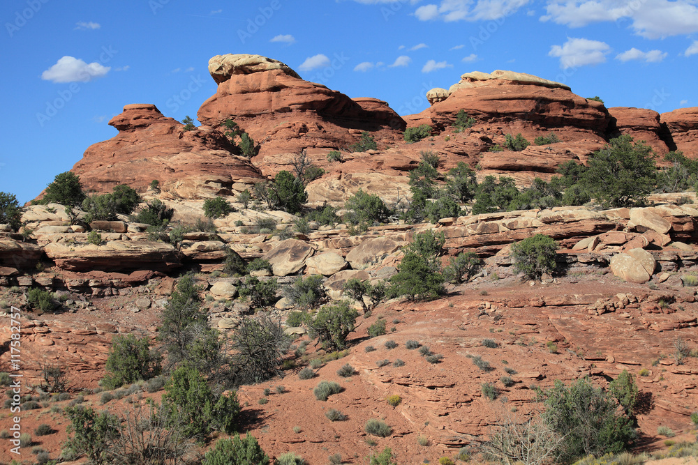 Fototapeta premium The Needles, Canyonland NP