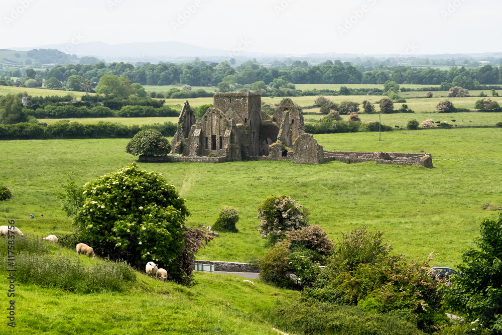 Irland - Rock of Cashel