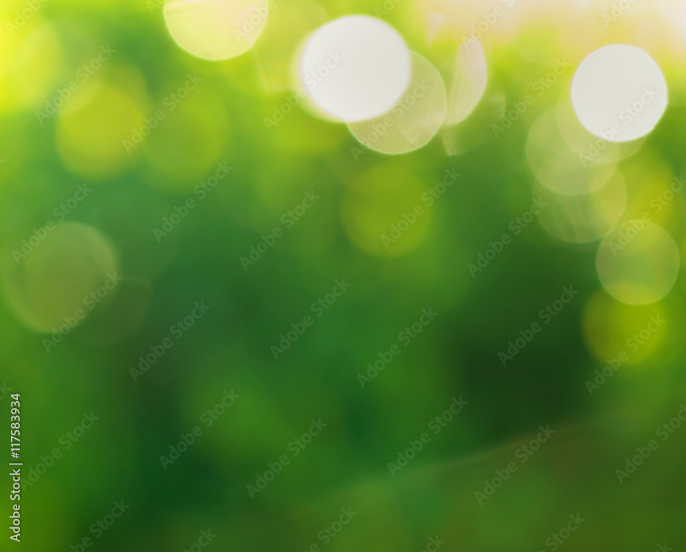 Abstract holiday lights, bokeh effect, on an abstract background green bokeh.