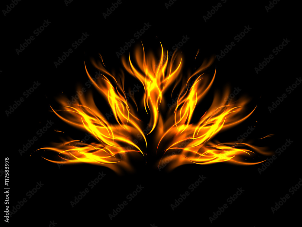 Fototapeta premium A fan of flames on a black background, vector illustration