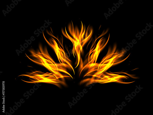 A fan of flames on a black background, vector illustration