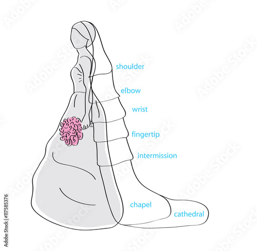 bride silhouette. choice length wedding veil. vector illustration