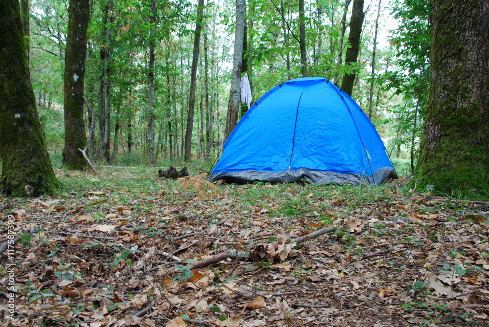 Camping dans la forêt