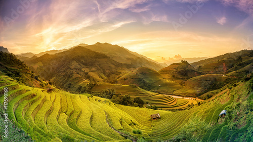 Terraced rice fields at sunset Mu Chang Chai, Yen Bai, Vietnam photo