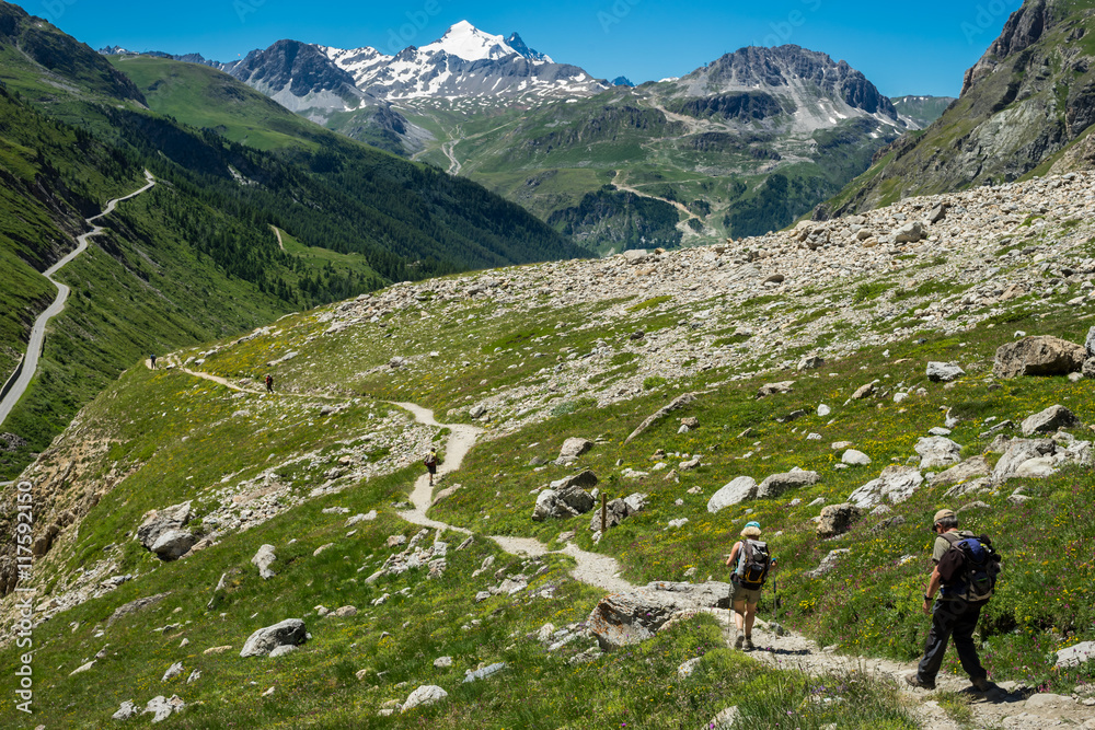 Fototapeta premium randonneurs d'éré dans les Alpes