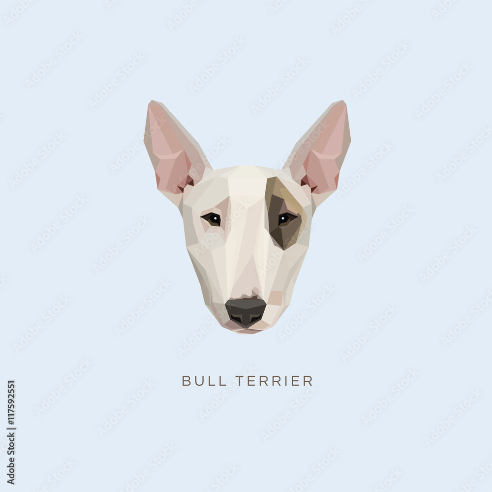 Bull Terrier dog portrait vector illustration in modern geometric style