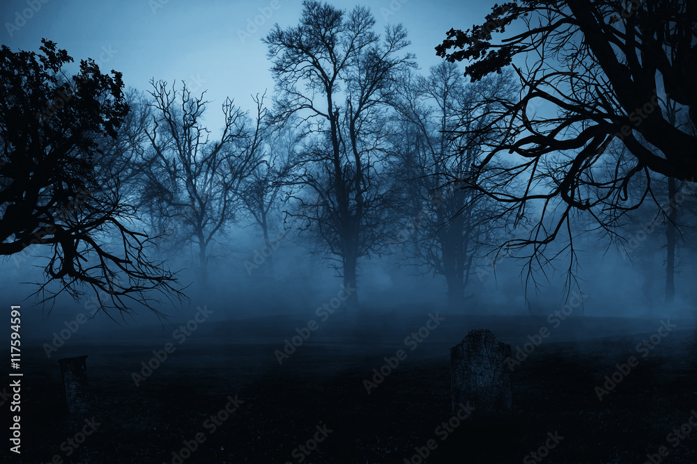 Dark Horror Forest gravestone background. Stock Photo | Adobe Stock
