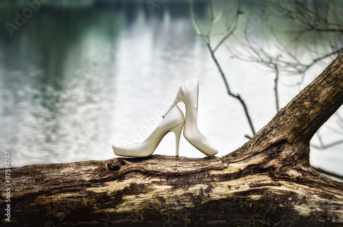 Białe buty ślubne stojące na starym drzewie na tle wody photo
