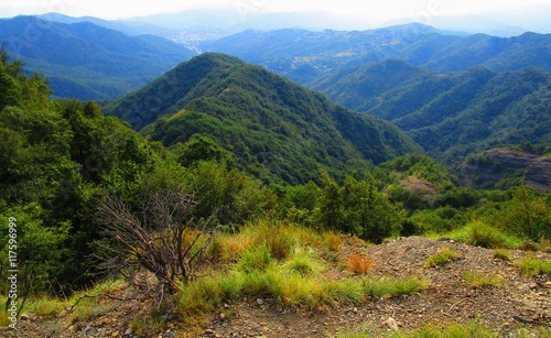 Montagne Verdi 2016
