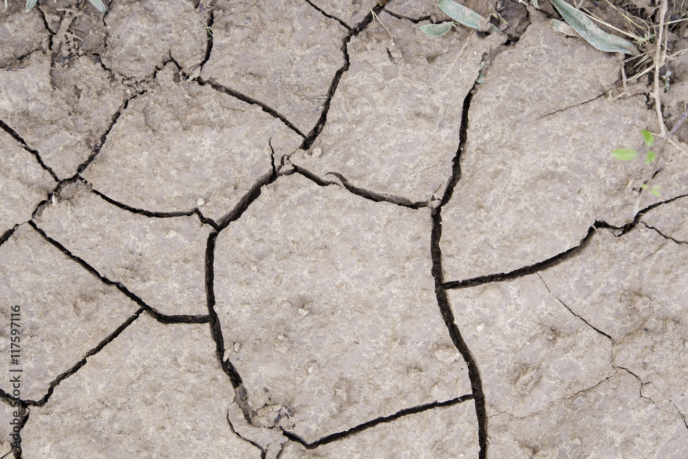 Obraz premium Dry soil by a drought