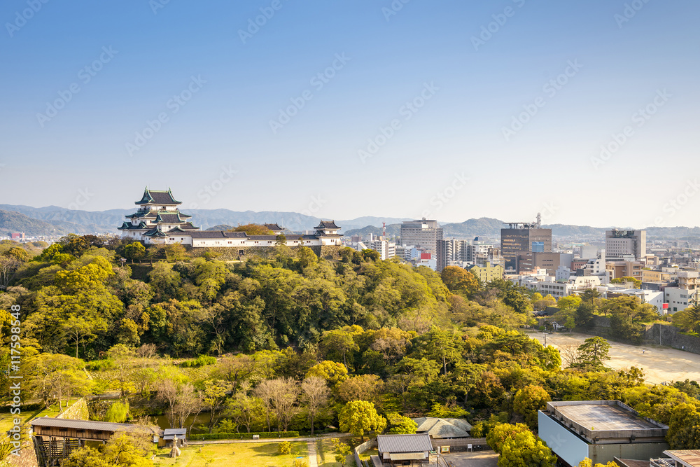 Naklejka premium Wakayama Castle in Japan