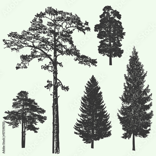 Vintage forest tree design template. Vector illustration